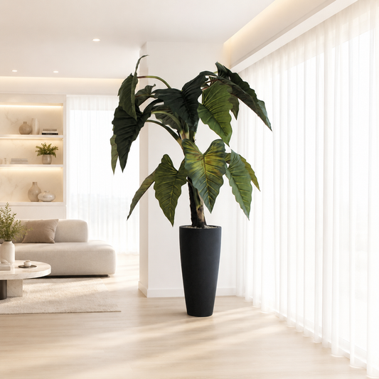 Alocasia Red Prince dans un cache-pot Ashton noir | Solérive
