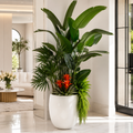 Plantes tropicales dans un cache-pot blanc laqué pour décoration intérieure | Solérive