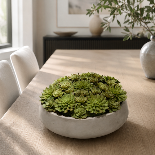 Bol Newport XL avec succulentes pour décoration intérieure | Solérive