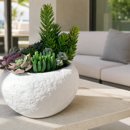 Bol Tahiti avec succulentes mixtes pour décoration intérieure | Solérive