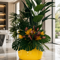 Plantes tropicales dans un vase Globe jaune safran pour décoration intérieure | Solérive