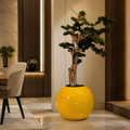 Bonsaï retombant dans un vase Globe jaune safran pour décoration intérieure | Solérive