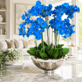 Orchidées Phalaenopsis bleues dans un bol Avenue argenté pour décoration intérieure | Solérive