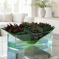 Succulentes mixtes sur un plateau en verre de 51 cm pour décoration intérieure | Solérive