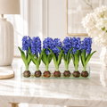 Jacinthe bleue dans un cache-pot Casa Moderna pour décoration intérieure | Solérive