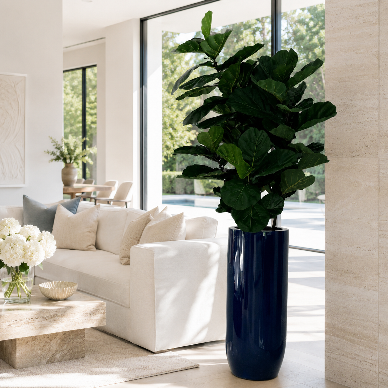 Ficus lyrata dans un cache-pot St. Tropez bleu cobalt brillant pour décoration intérieure | Solérive