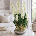 Orchidées Dendrobium dans un cache-pot Avenue argenté pour décoration intérieure | Solérive