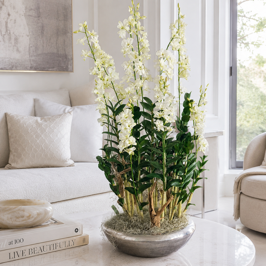 Orchidées Dendrobium dans un cache-pot Avenue argenté pour décoration intérieure | Solérive