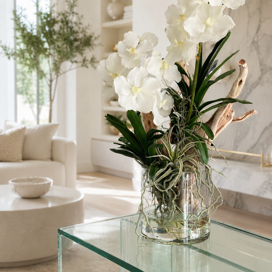 Orchidées Vanda et bois flotté dans un cylindre en verre pour décoration intérieure | Solérive